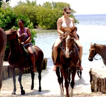 Jamaica Tours