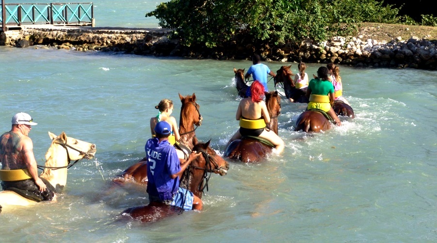 Horse Back Jamaica