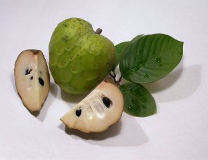 Custard Apple
