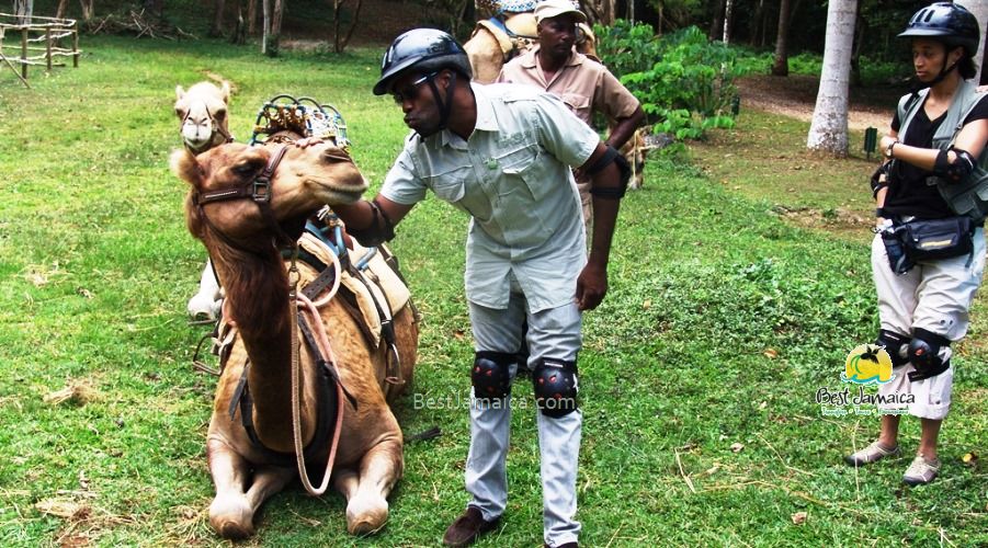 Best Jamaica shore excursions