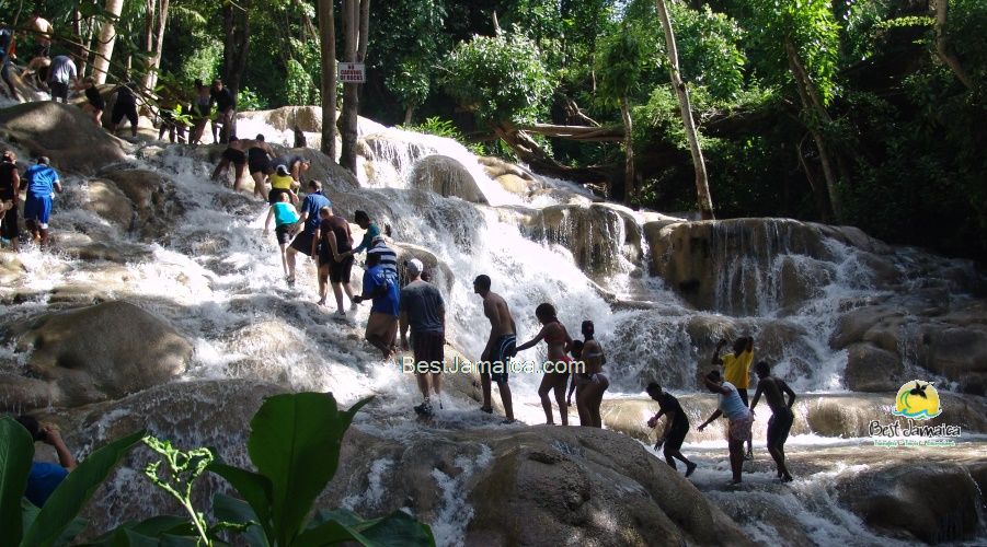 Jamaica shore excursion