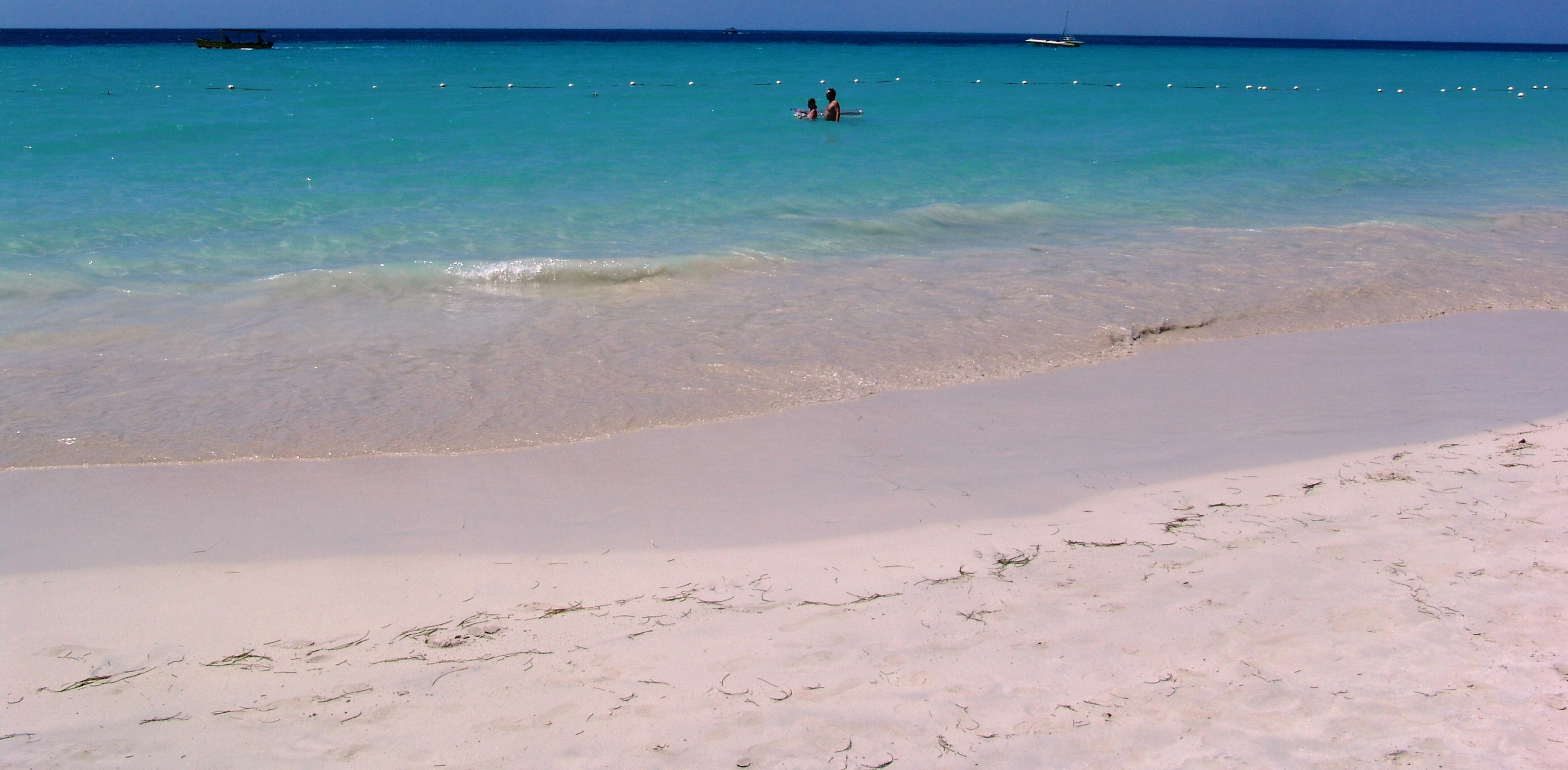 Best Jamaica Tours