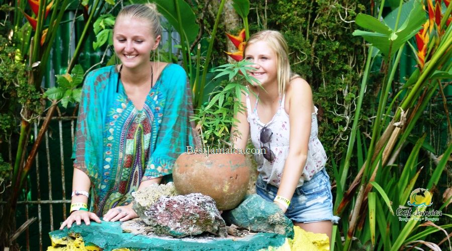 Jamaica Tours