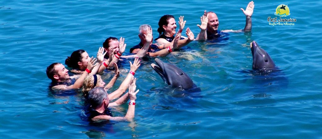 Best Jamaica Tours