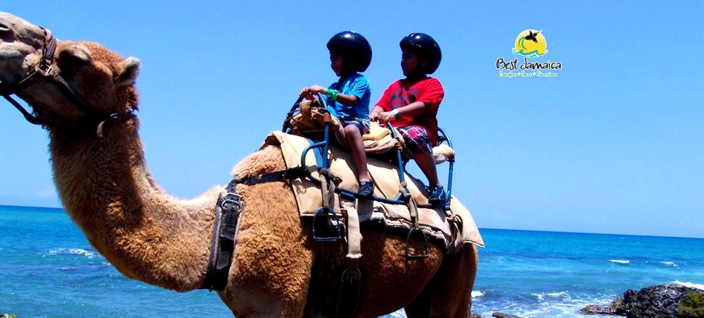 Best Excursion Jamaica