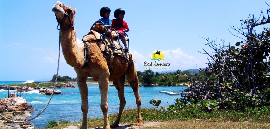 Best Jamaica Excursions