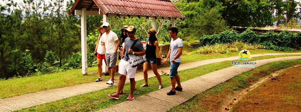 Best Jamaica Excursions