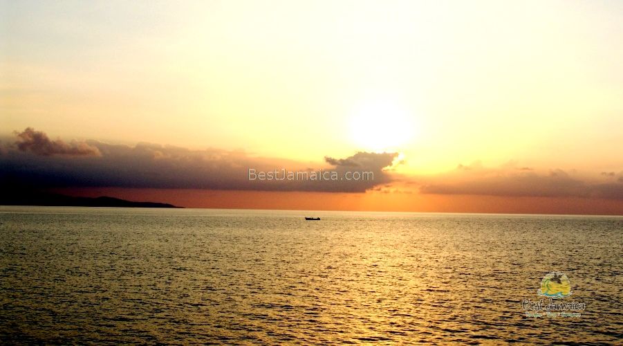 Best Jamaica Tours