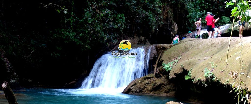 YS Falls Tours