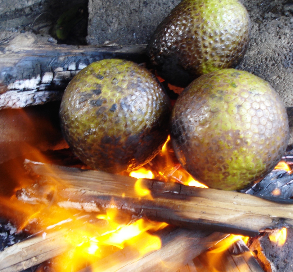 Jamaican Breadfruit