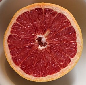 Grapefruit