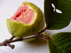 Guava