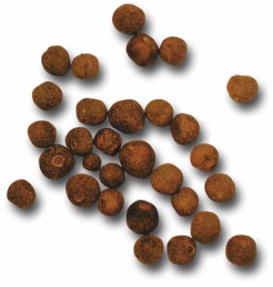 Jamaican Pimento