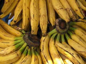 Plantains