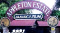 Appleton Estate