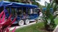 Best Jamaica Tours Falls