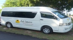 Best Jamaica Transportation