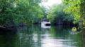 Black River 2