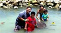 Dolphin Cove Jamaica 8