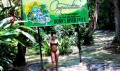 Dunns River Falls 8