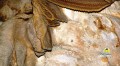 Green Grotto Cave Tours