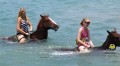 Horse Back Ride Jamaica
