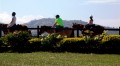 Horse-Back Jamaica 3