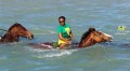 Horse-Back Jamaica 4