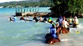 Horse-Back Jamaica 7