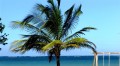 Jamaica Beach