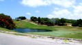 Jamaica Golfing