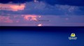 Jamaica Sunset