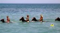 Jamaica horse back ride
