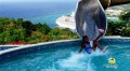 Mystic Mountain Jamaica 2