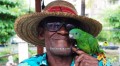 Ocho Rios Excursions