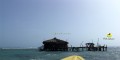 Pelican Bar Tours