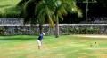 Tryall Golf3