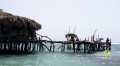 pelican bar